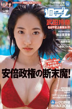 尼罗河女儿小说